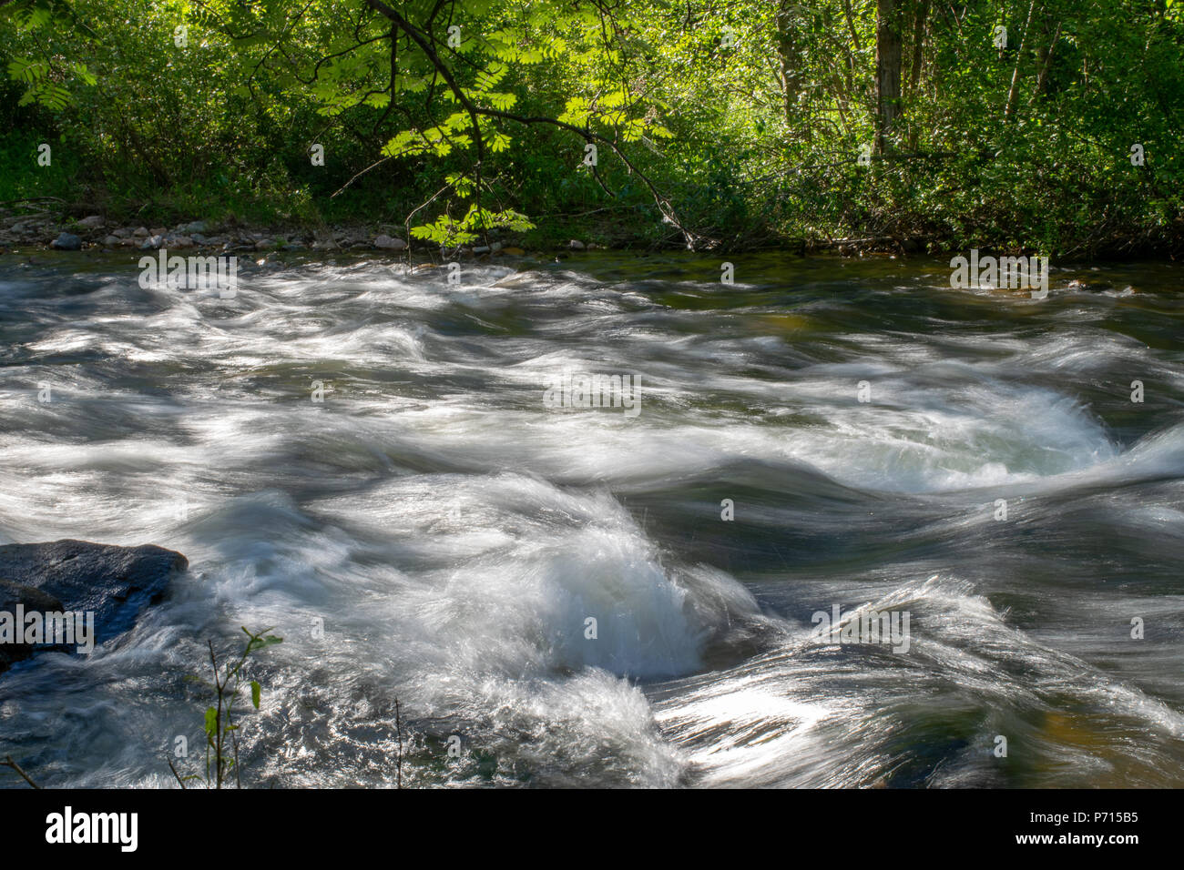 Fluss des Greenough Stockfoto