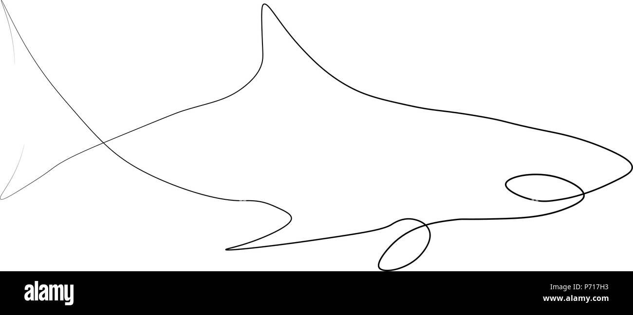 Shark eine Zeile. Vector Illustration. Isoliert weißer Hintergrund. Stock Vektor