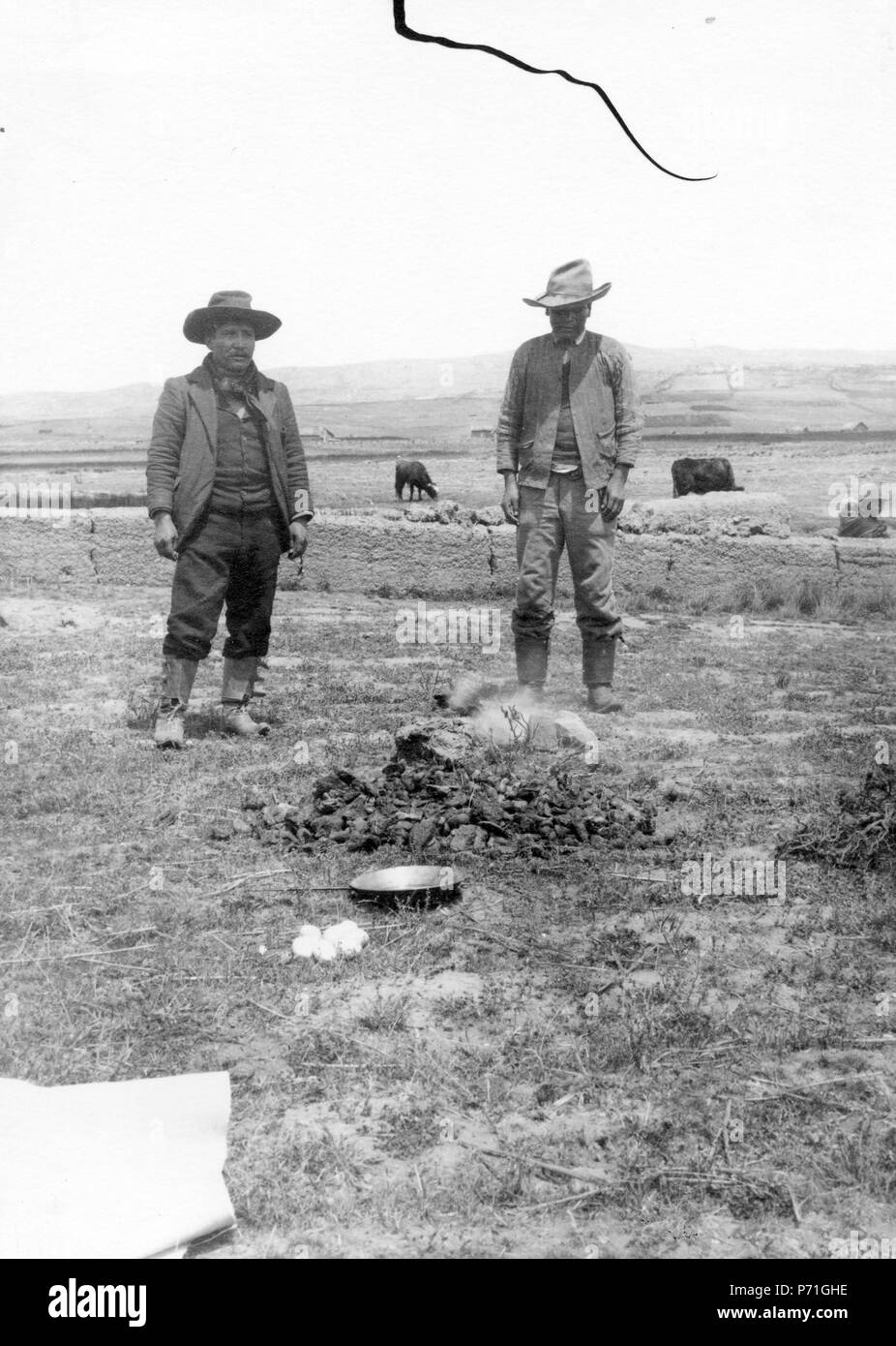 163 Matbestyr på punan. Nära Lago Titicaca. Titicacasjön. Bolivien - SMVK - 002312 Stockfoto