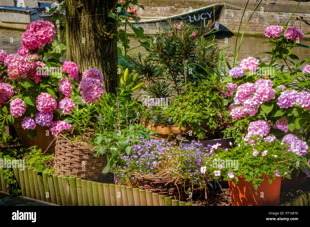 Canal Side Garden in voller Blüte, Amsterdam, Niederlande Stockfoto