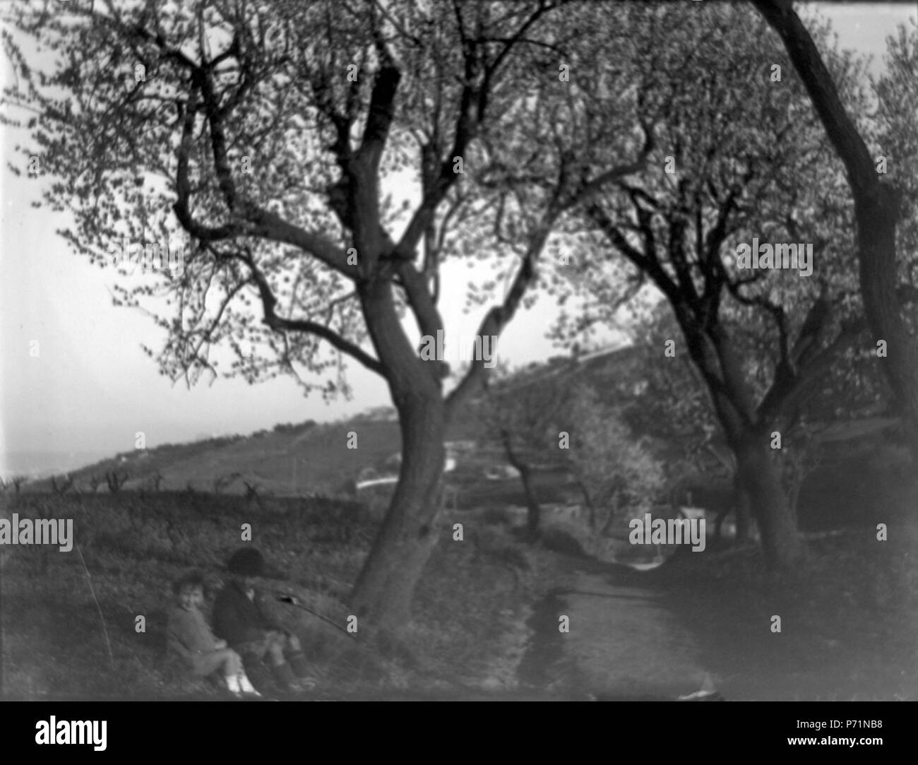 Englisch: Còpia digitale del negatiu Original de vidre Llegat Dolors Moros, 2010 Museu d'Art Jaume Morera, Lleida. 2290. 30. November 1899 9 Baldomer Gili Roig. Paisatge - 8703420503 Stockfoto