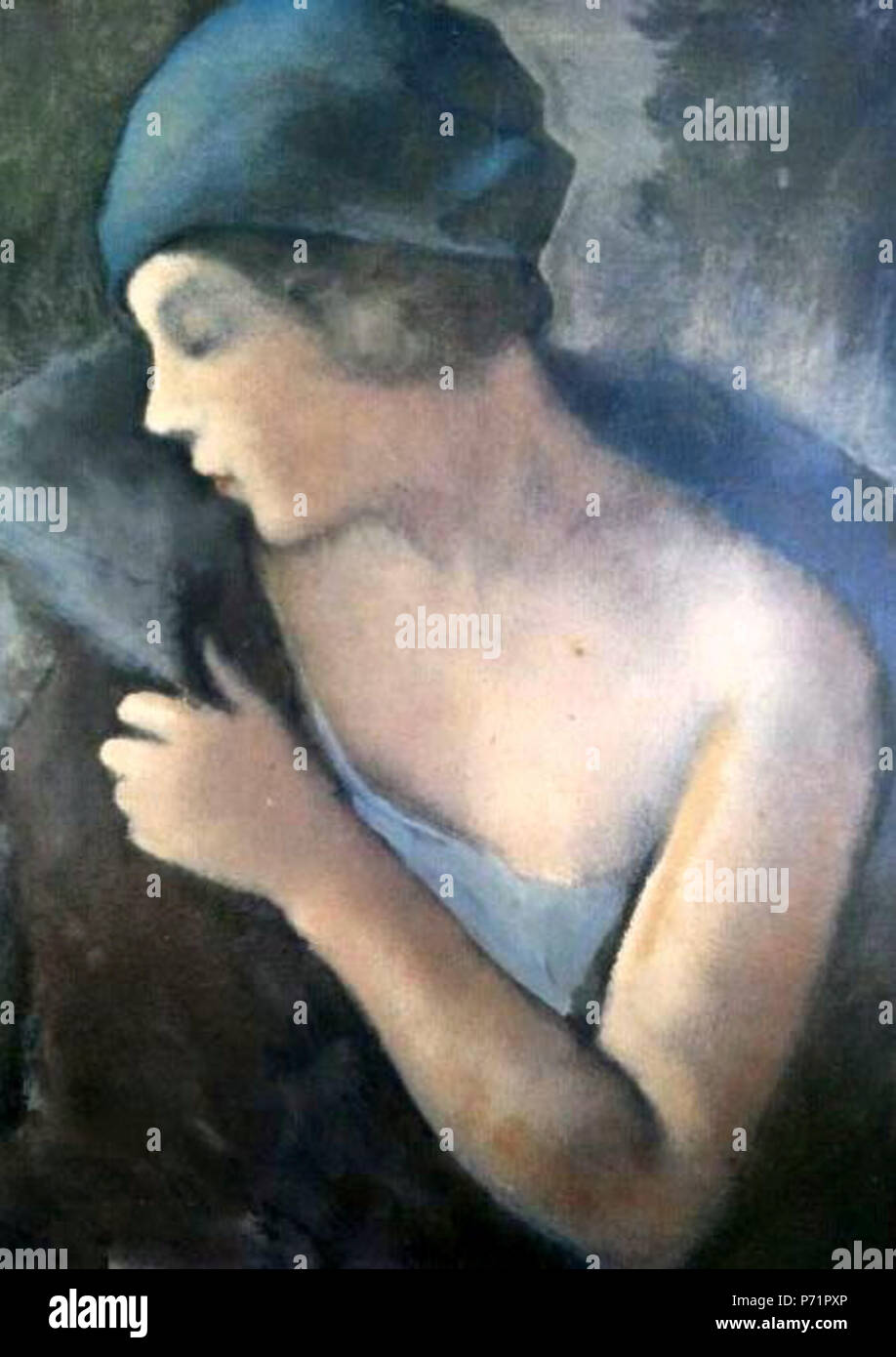 2 2014-07-03 13.16.23 Renard argenté Stockfoto