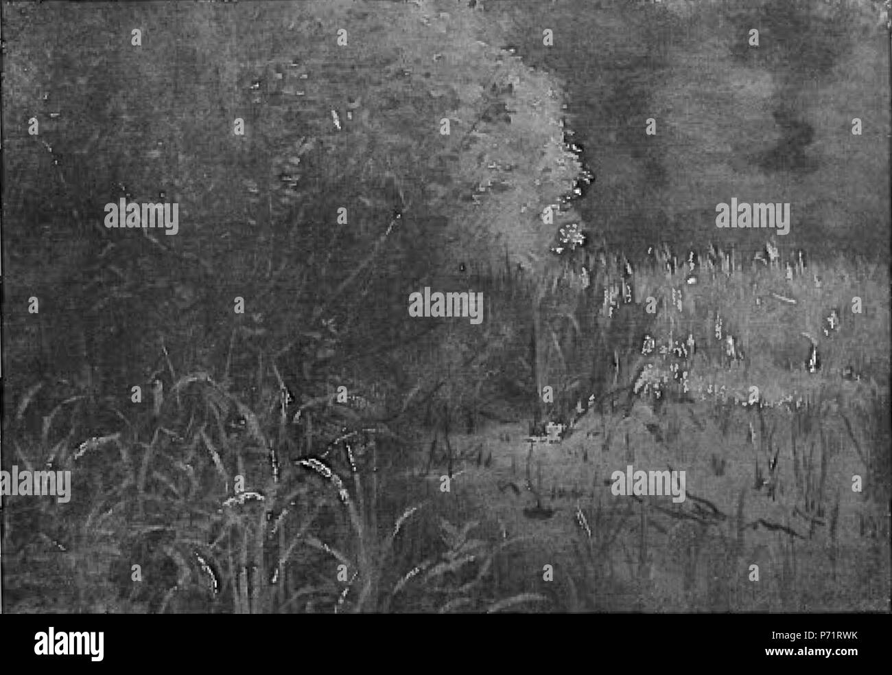 . English: Im Schilf 1884 157 Lovis Corinth BC 18 Im Schilf sw Stockfoto