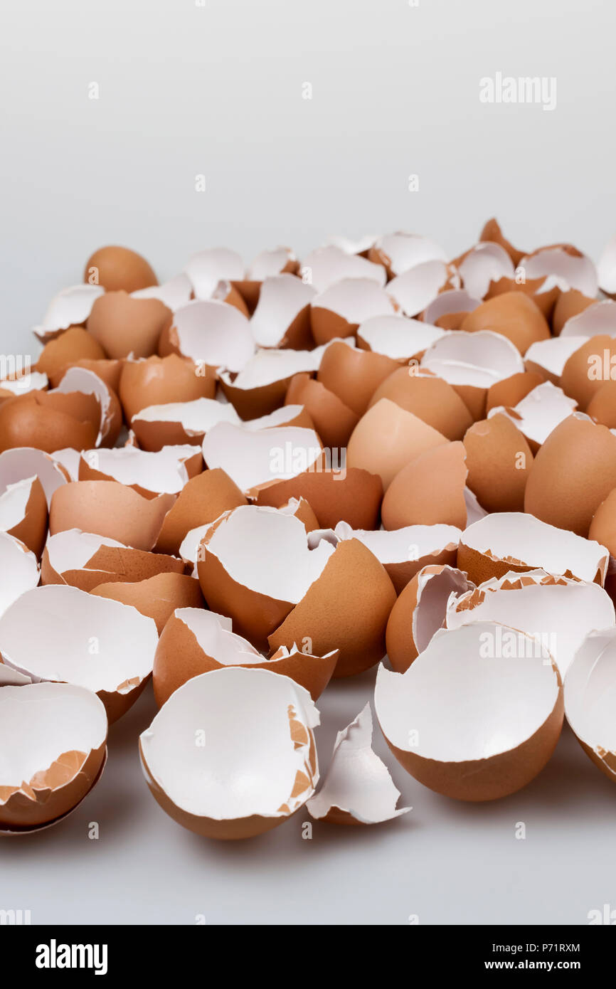 Haufen von vielen gebrochenen braun leeren Eierschalen Stockfoto