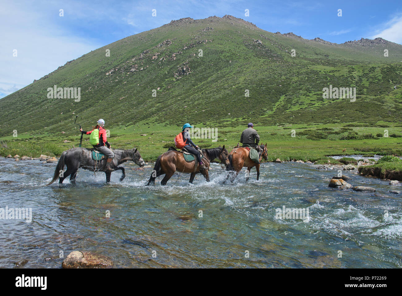 Pferde Überquerung der Tup Fluss, Jyrgalan Tal, Kirgisistan Stockfoto