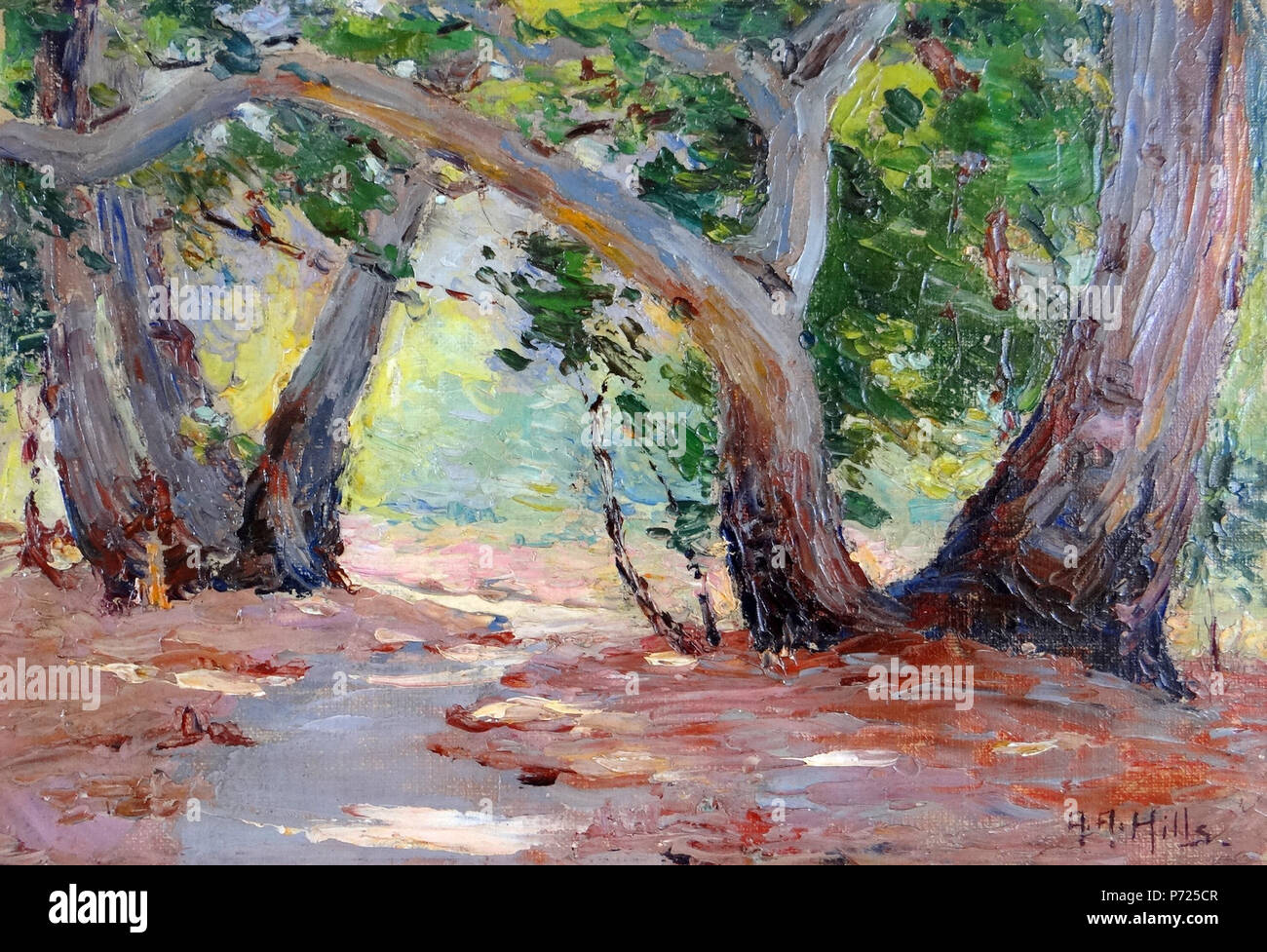 Englisch: Sonne & Co. Shadow-Orange Park, Kalifornien von Anna Althea Hills, 1915, Öl auf Karton, 7 x 10 in. 1915 1 "Sunshine & Amp; Shadow-Orange Co. Park, California' von Anna Althea Hills, 1915 Stockfoto