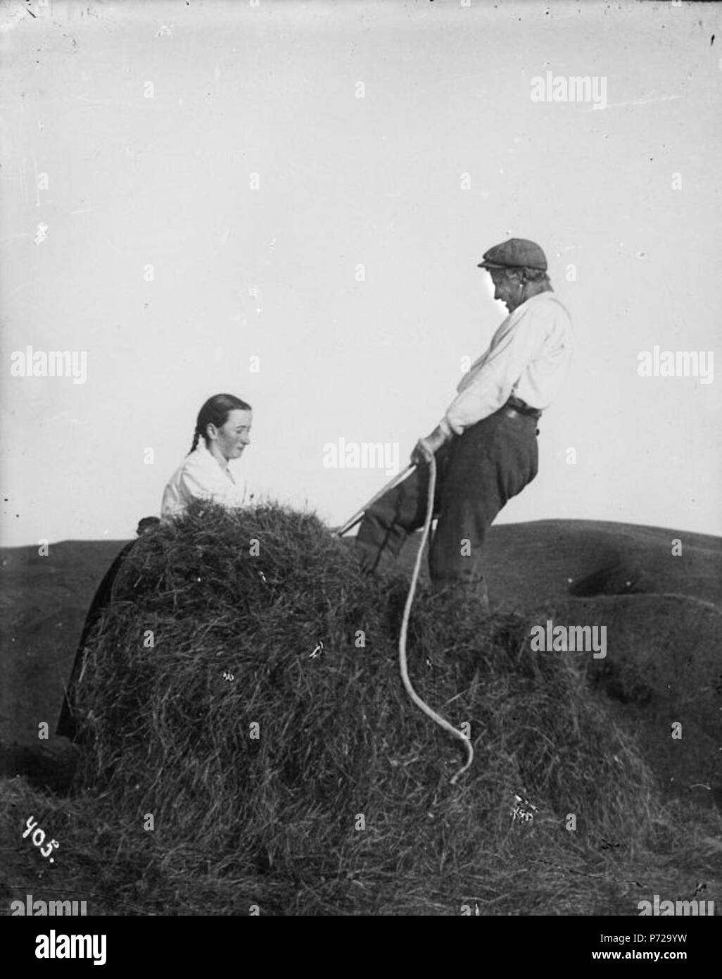 1907 hjónin Áslaug Sigurðardóttir og Stefán Helgason í heyvinnu á Arnarvatni. Hey bundið í bagga. 140 Hey bundið í Bagga, 1907 Stockfoto