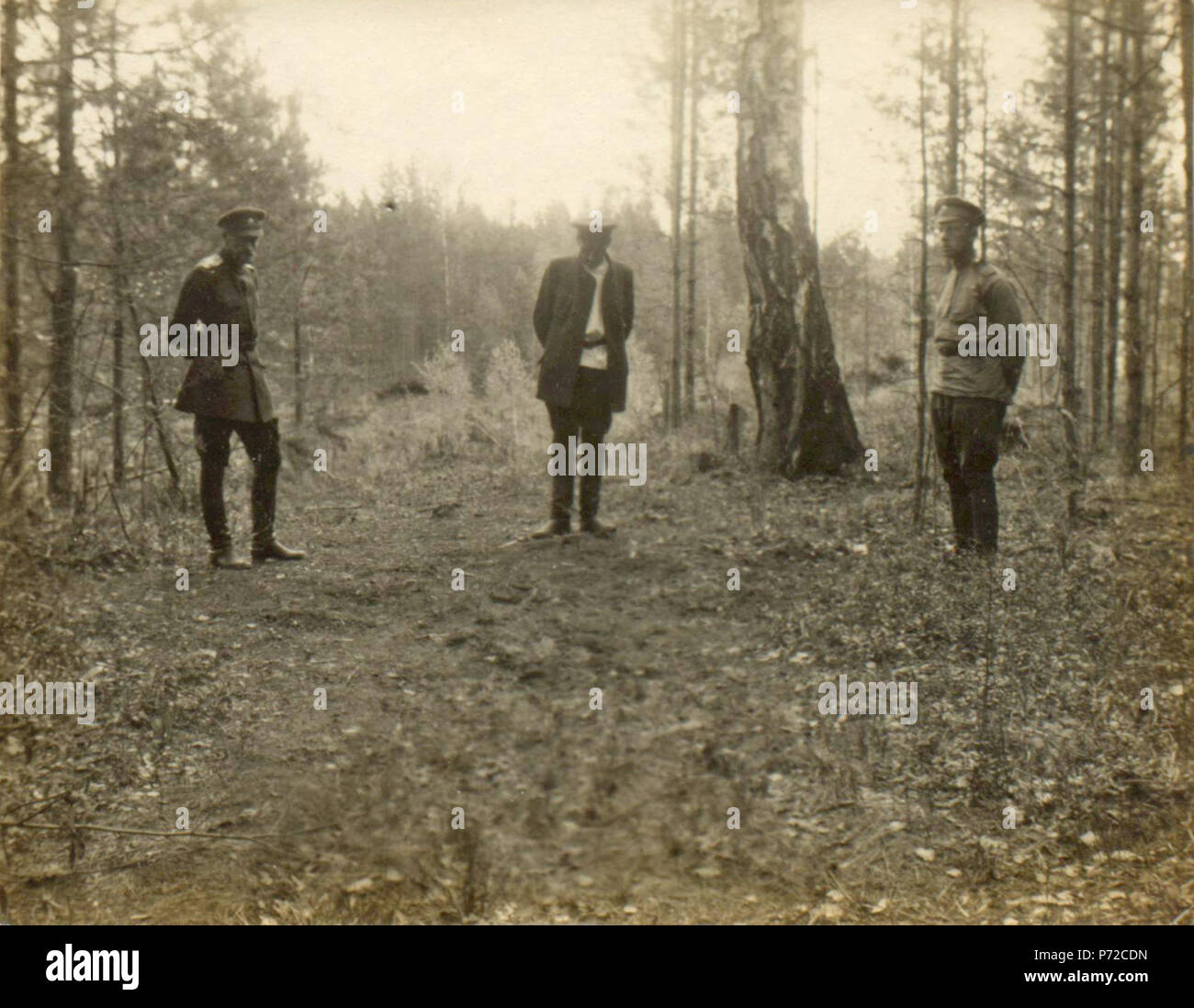 Русский: Береза кострища около Englisch: In der Nähe von einem Lagerfeuer Birke. 1919 185 Foto 080 - Birke in der Nähe von einem Lagerfeuer Stockfoto