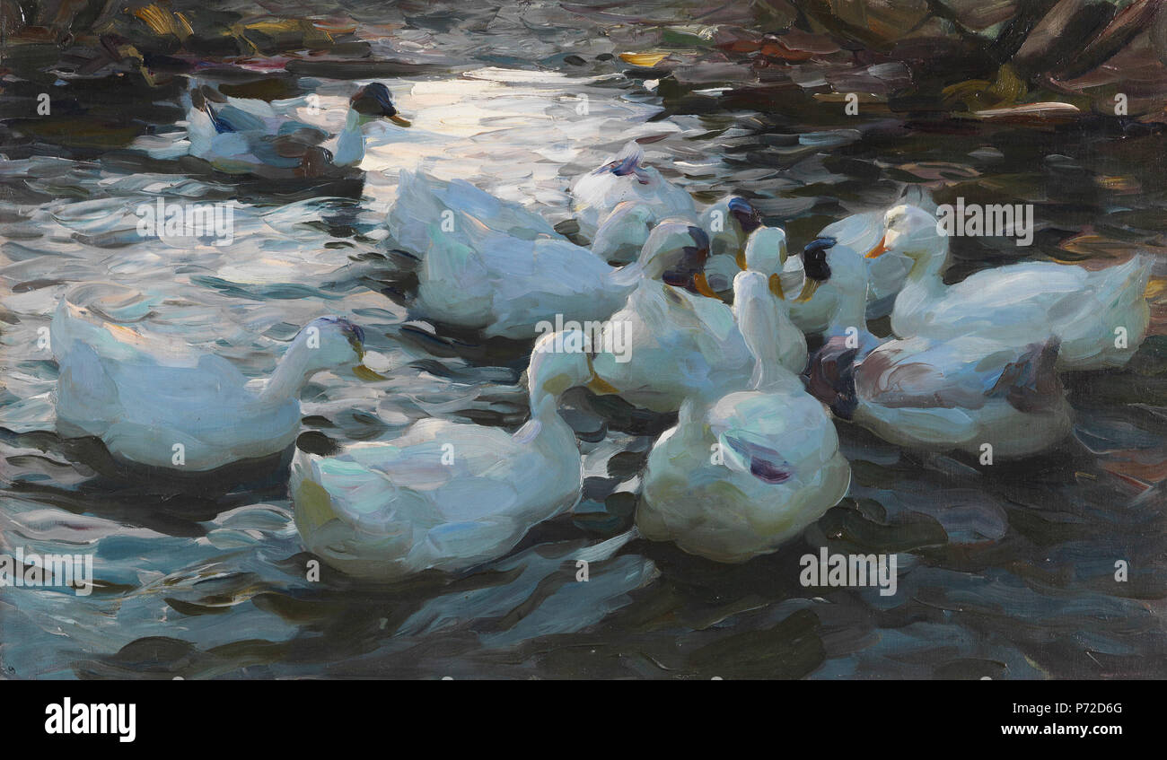 Elf Enten im Wasser. Ca. 1915-1932. Öl auf Leinwand. 45,5 x 76,5 cm. Verso auf der Leinwand handschriftlich bezeichnet. Zwischen 1915 und 1932 8 Alexander Koester Elf Enten im Wasser Stockfoto