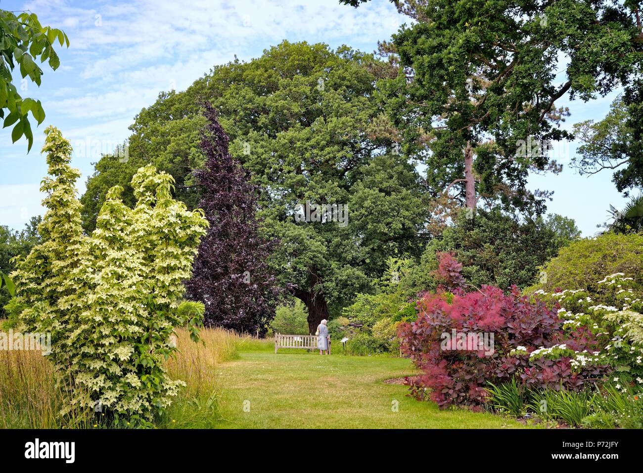 Ältere Menschen mit einem Besuch in der Royal Horticultural Society in Wisley Gardens Surrey an einem sonnigen Sommertag. Stockfoto