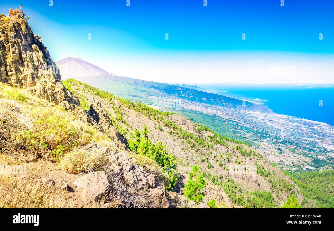 Volcan Teide mit kanarischen Kiefernwald Corona Forestal, Nationalpark der Insel Teneriffa, Kanaren, Spanien, getönt Stockfoto