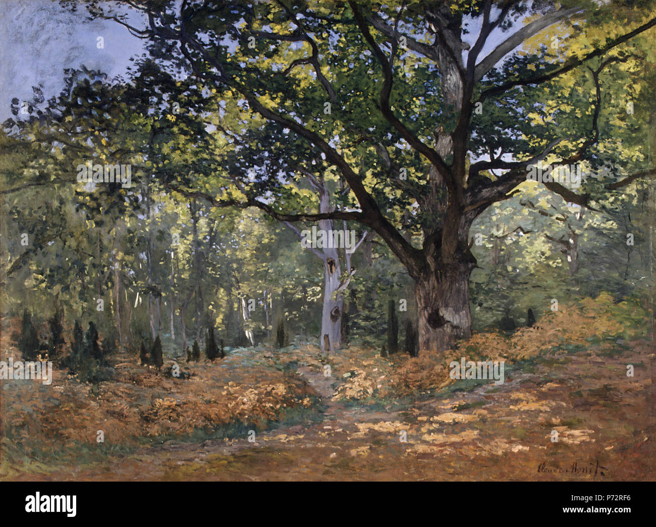 . Français: Le Chene de Bodmer, La Route de Chailly Deutsch: Das bodmer Eiche, Wald von Fontainebleau 1865 155 Le Chene de Bodmer, La Route de Chailly (Monet) Stockfoto
