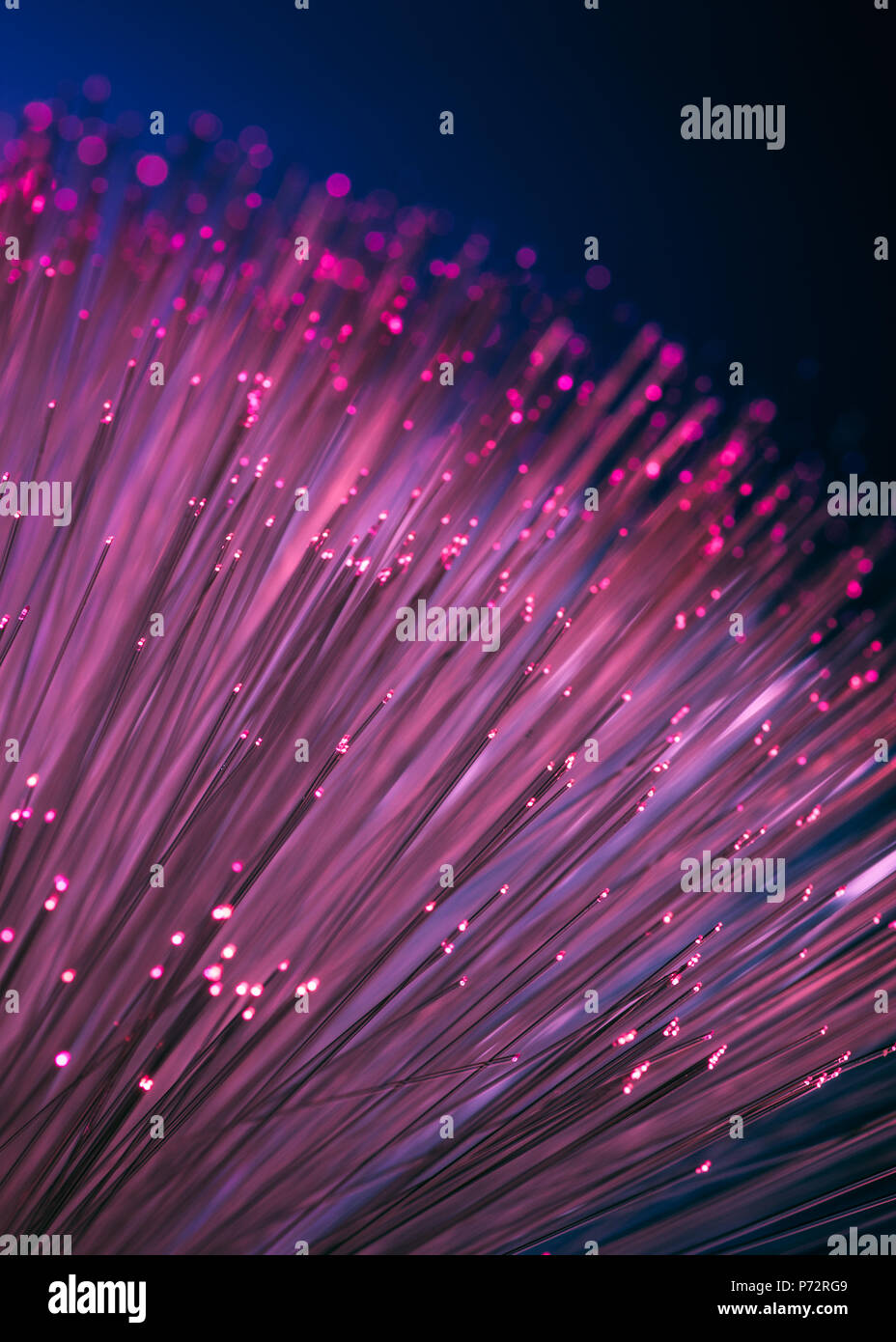 In der Nähe von Shiny pink Fiber Optics Textur Hintergrund Stockfoto