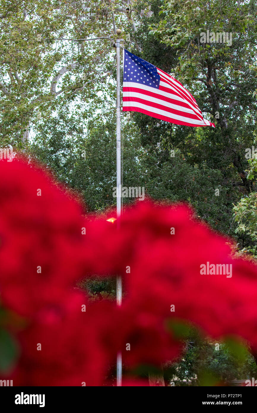 Amerikanische Flagge mit roten Rosen im Vordergrund Stockfoto