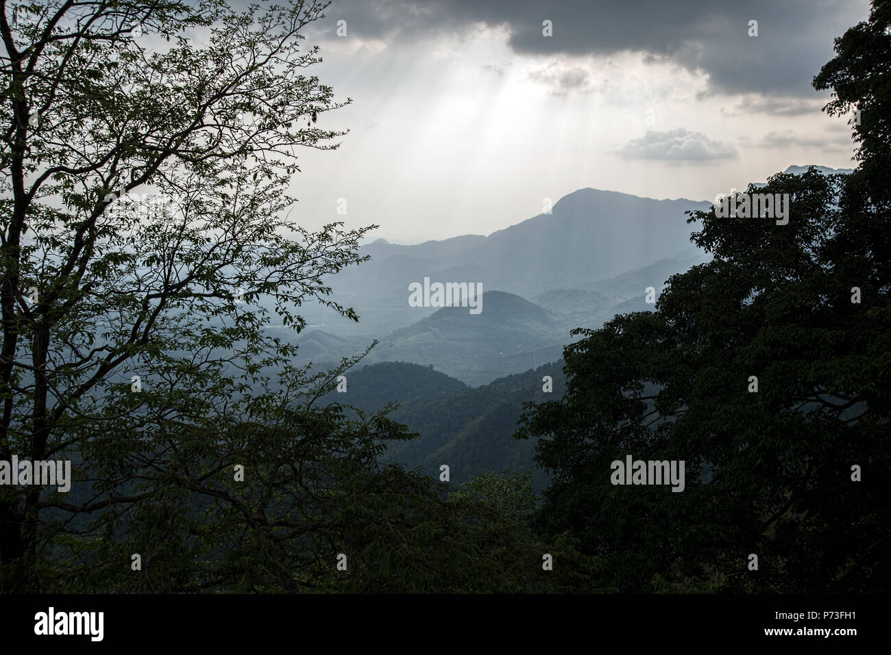 Landschaft von Wayanad, Kerala, Indien Hügel durch das Fenster auf die Bäume, bewölkten Himmel, Filterung Strahlen, Weitwinkel, Western Ghats Stockfoto