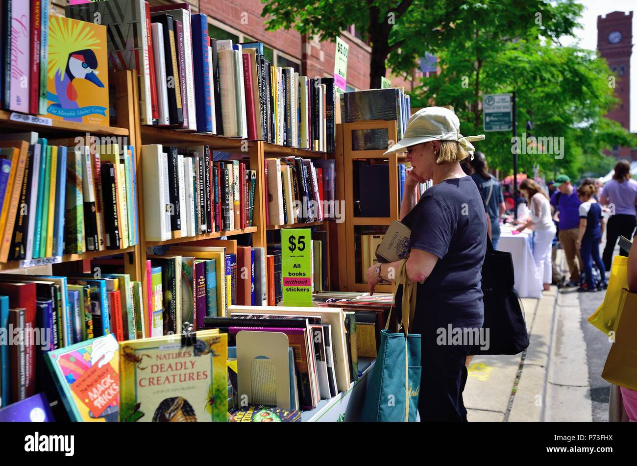 Chicago, Illinois, USA. Frau denkt über einen möglichen Kauf bei der jährlichen Drucker Reihe beleuchtet Fest (ehemals Drucker Reihe Book Fair). Stockfoto