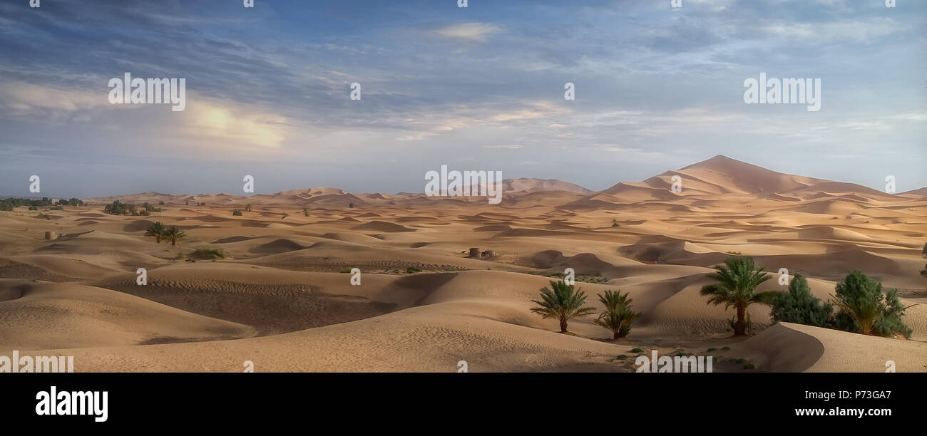 Blick auf die Wüste Sahara in den Strahlen der untergehenden Sonne. Stockfoto