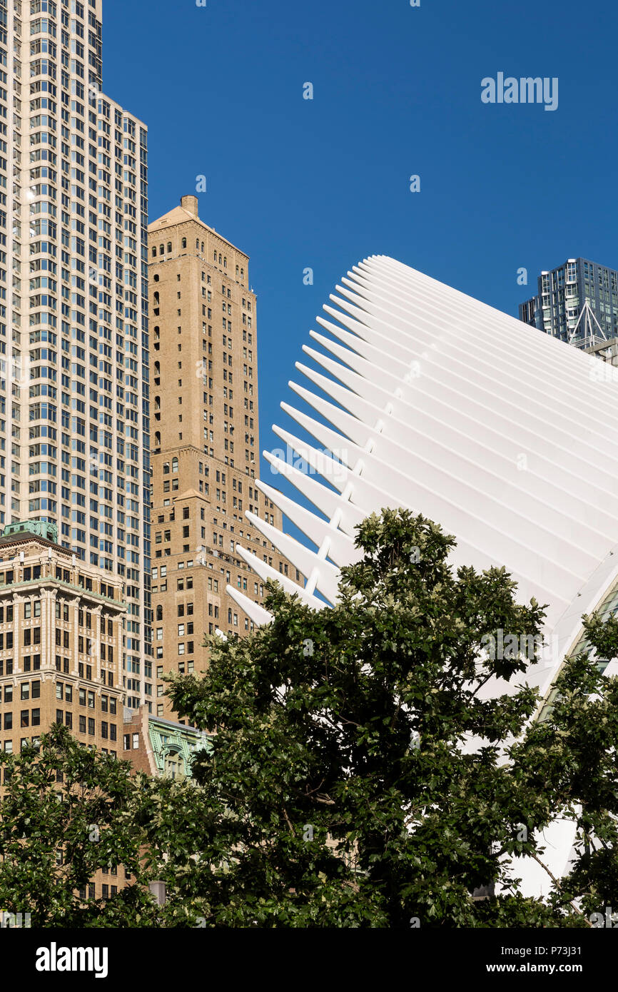 Santiago Calatrava World Trade Center Transportation Hub. August 2016. New York City, Vereinigte Staaten von Amerika Stockfoto