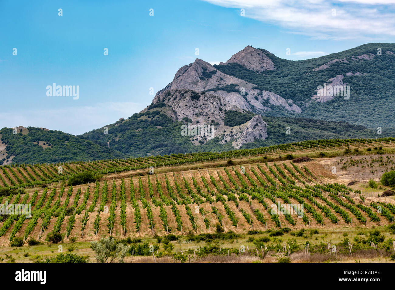 Krim Landschaft Russland Stockfotografie Alamy