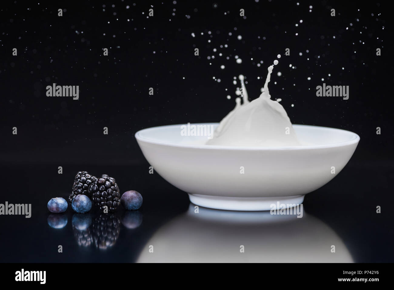 Brombeeren und Heidelbeeren weiße Schüssel mit Milch spritzen auf schwarzem Hintergrund Stockfoto