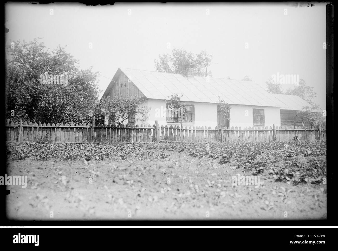 60 Narcyz Witczak-Witaczy ński-Jaworów (107-145-4) Stockfoto