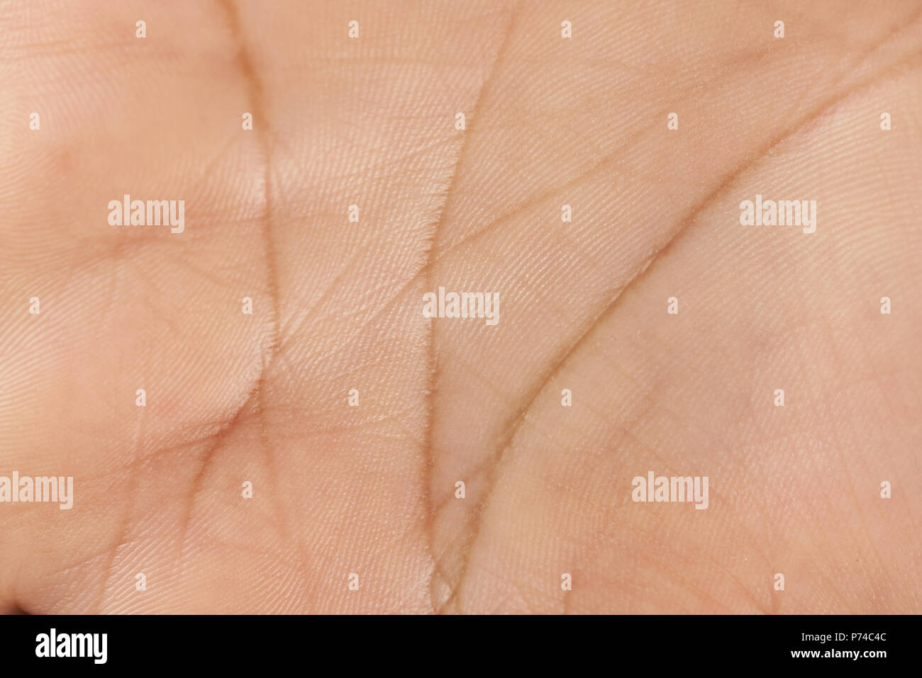 Haut auf die menschliche Hand palm Nähe zu sehen. Linien von Fortune Stockfoto