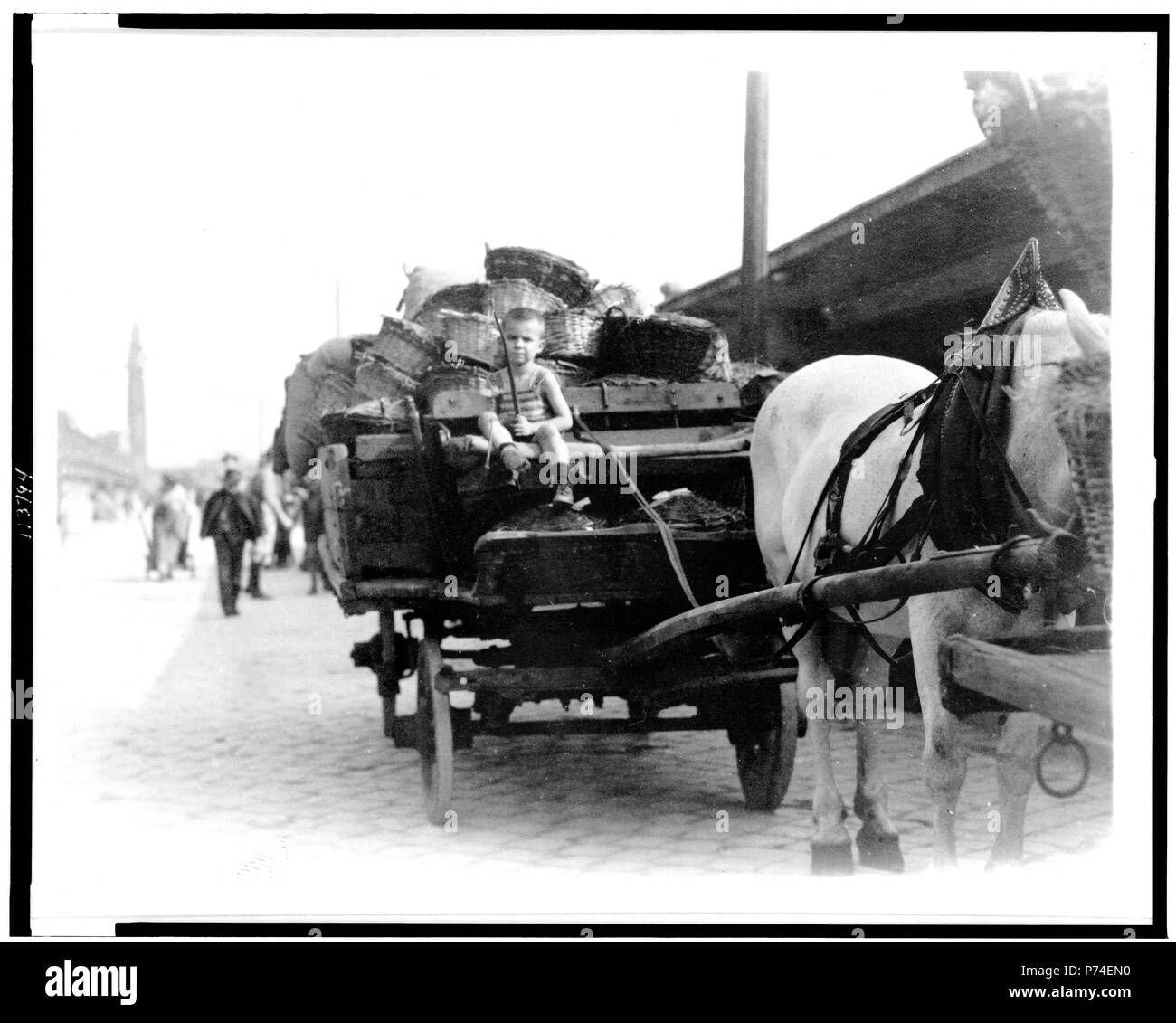 Junge fahren Pferdewagen mit Körben, Ungarn 1923 geladen Stockfoto