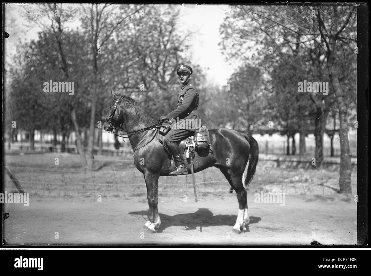 65 Narcyz Witczak-Witaczy ński-Por. Janowski (107-183-1) Stockfoto
