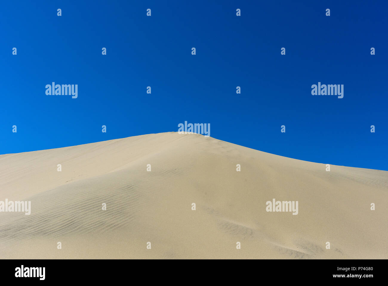 Der Oregon Sand Dünen in Florenz, Oregon, USA Stockfoto