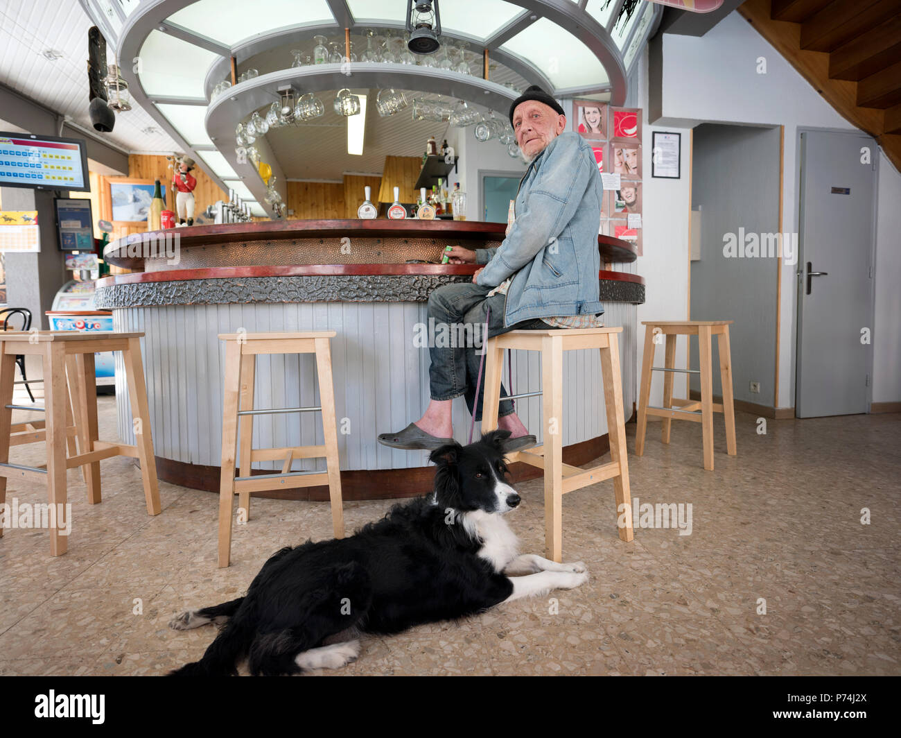 Hirte mit Schaf Hund an der Bar Cafe in Guillestre Stockfoto