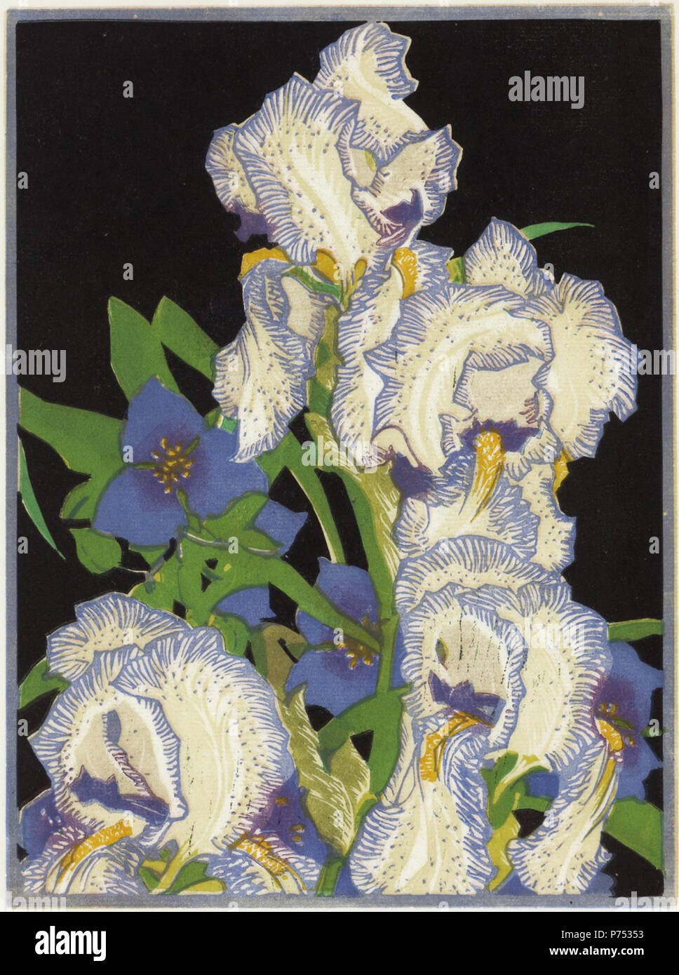 Englisch: Franklin Carmichael, Penciled Schwertlilien, C. 1925-1932, Farbe linolschnitt auf Bütten, 30,6 x 20,6 cm; Block: 22,2 x 16,5 cm. 1932 3 Franklin Carmichael - Bleistift Iris Stockfoto