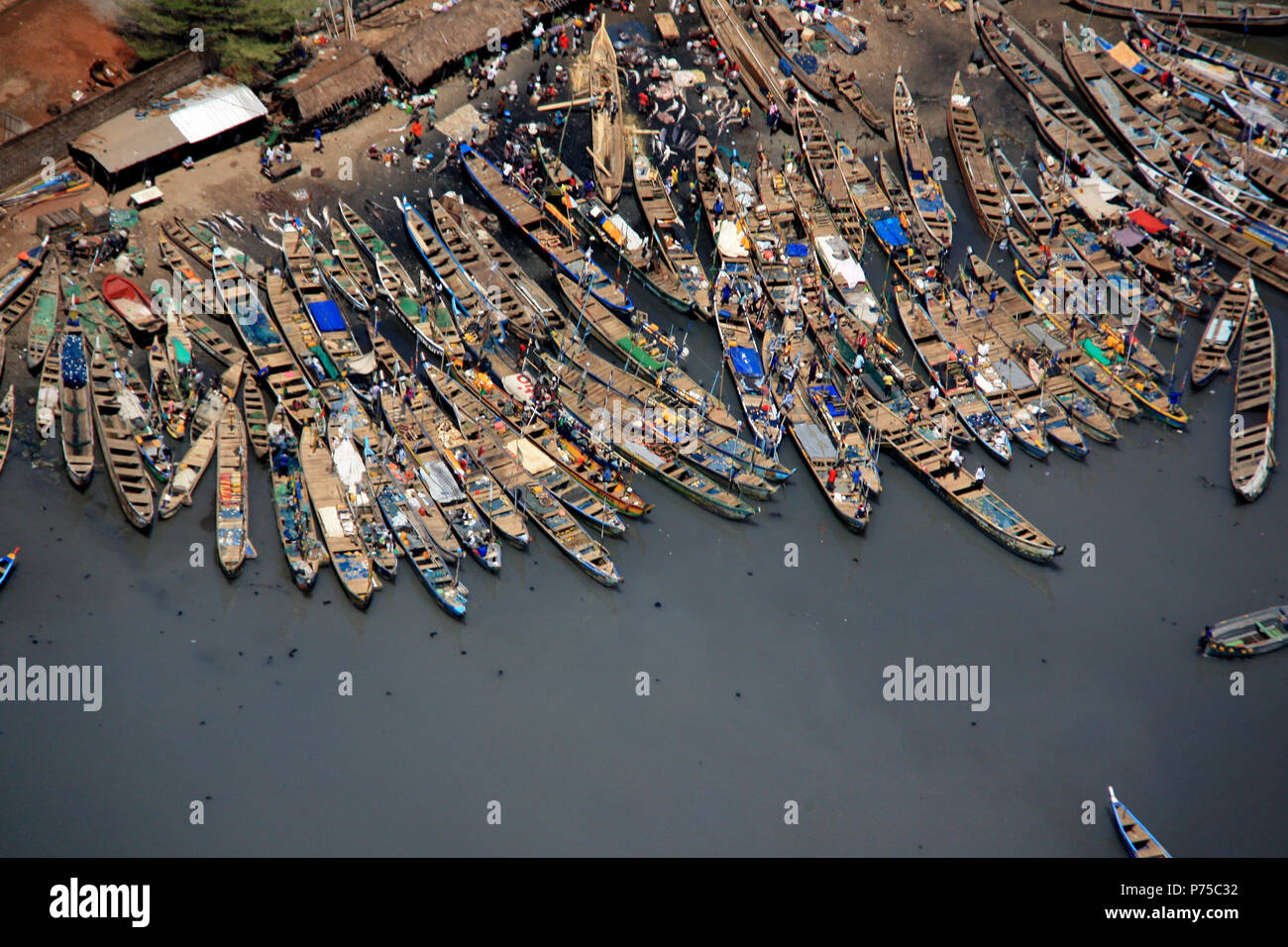 Das Entladen der Fang des Tages von Fischerboote in Accra, Ghana Stockfoto