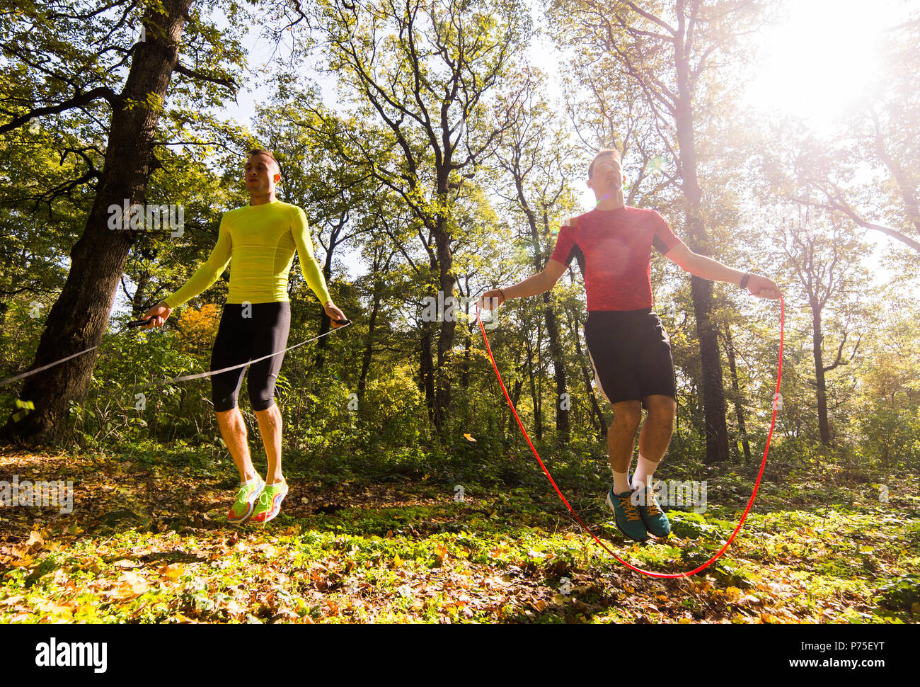 Hübscher junger Männer Sportkleidung tragen und trainieren in Wald am Berg im Herbst Stockfoto