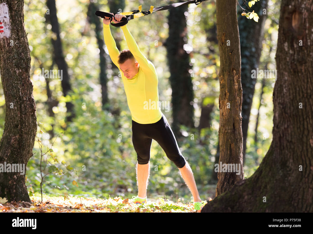 Hübscher junger Männer Sportkleidung tragen und trainieren in Wald am Berg im Herbst Stockfoto