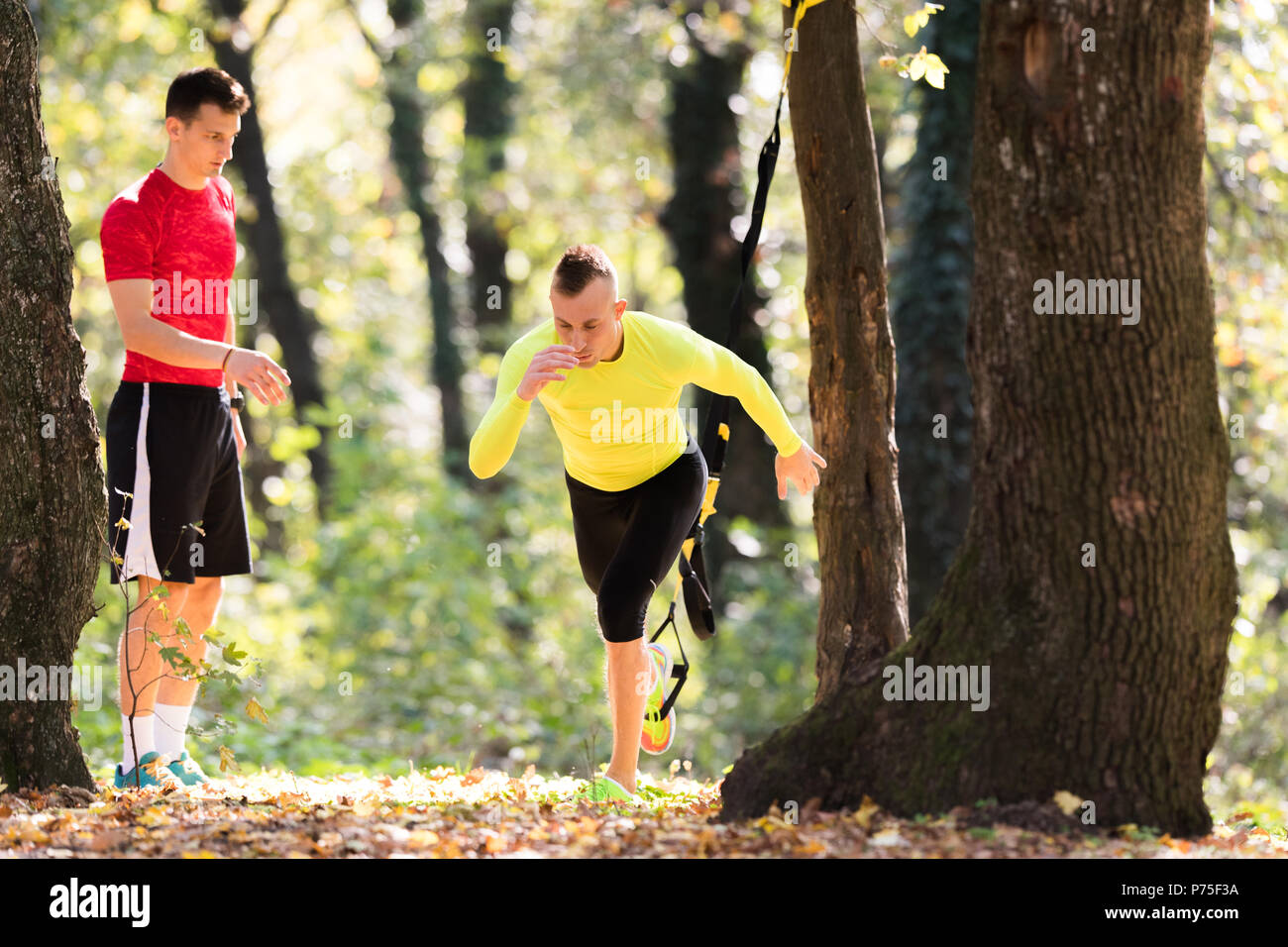 Hübscher junger Männer Sportkleidung tragen und trainieren in Wald am Berg im Herbst Stockfoto