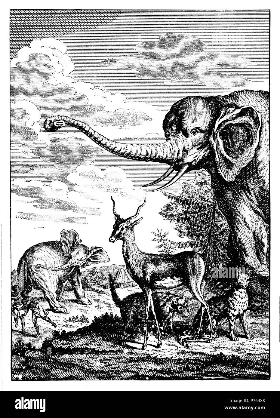 Elefanten, Gazellen, Tiger und Civet-katze als Beispiel für die Darstellung im 18. Jahrhundert Reiseberichte. Nach: "Geschichte der Voyages', 1902 Stockfoto