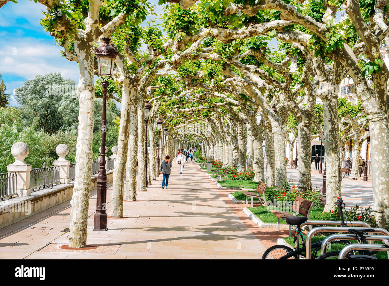 Burgos, Spanien - 13. Juni 2018: Die von Bäumen gesäumten Promenade Boulevard im Frühjahr im historischen Zentrum von Burgos, Spanien Stockfoto