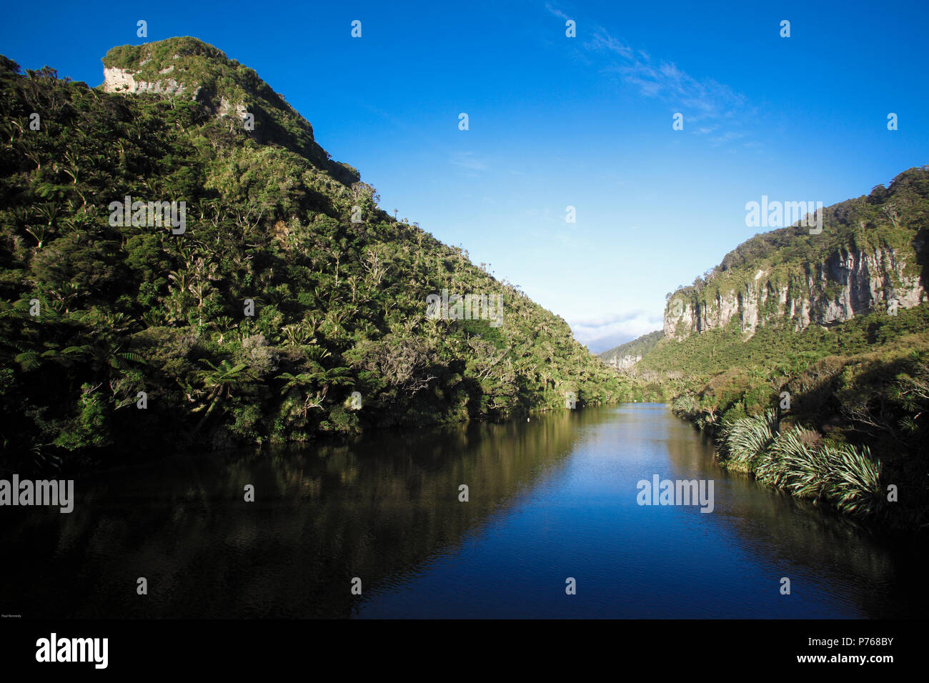 Der Pororari River im Paparoa National Park, Punakaiki, Neuseeland Stockfoto