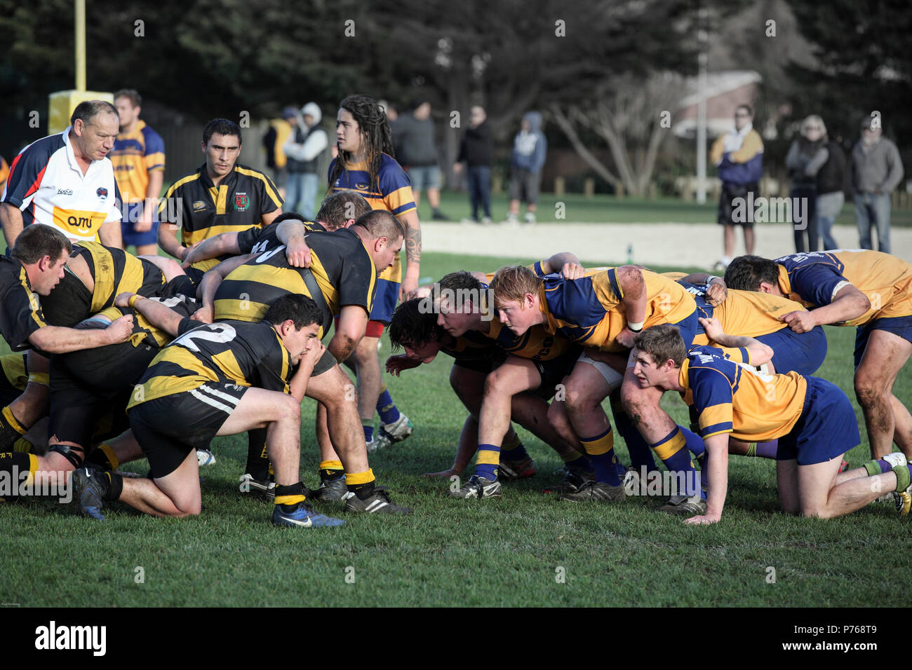 Scrum Zeit im Spiel von Rugby Union, Kapiti Paraparaumu, Neuseeland Stockfoto