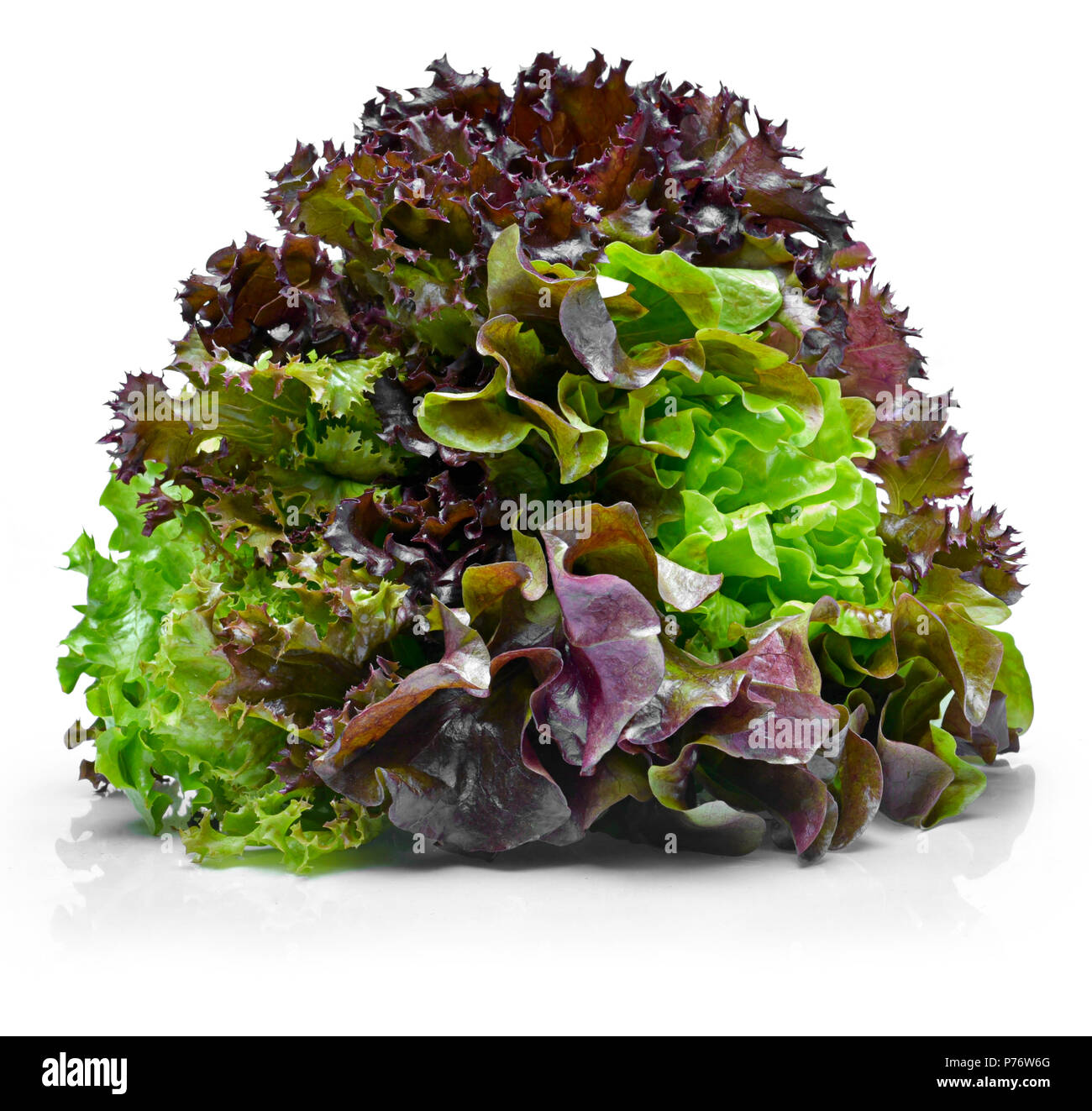 Köstliche, Frische eiche Salat oder Salat mischen. tricolor Salat oder gemischter Salat, auf weißem Hintergrund. Stockfoto