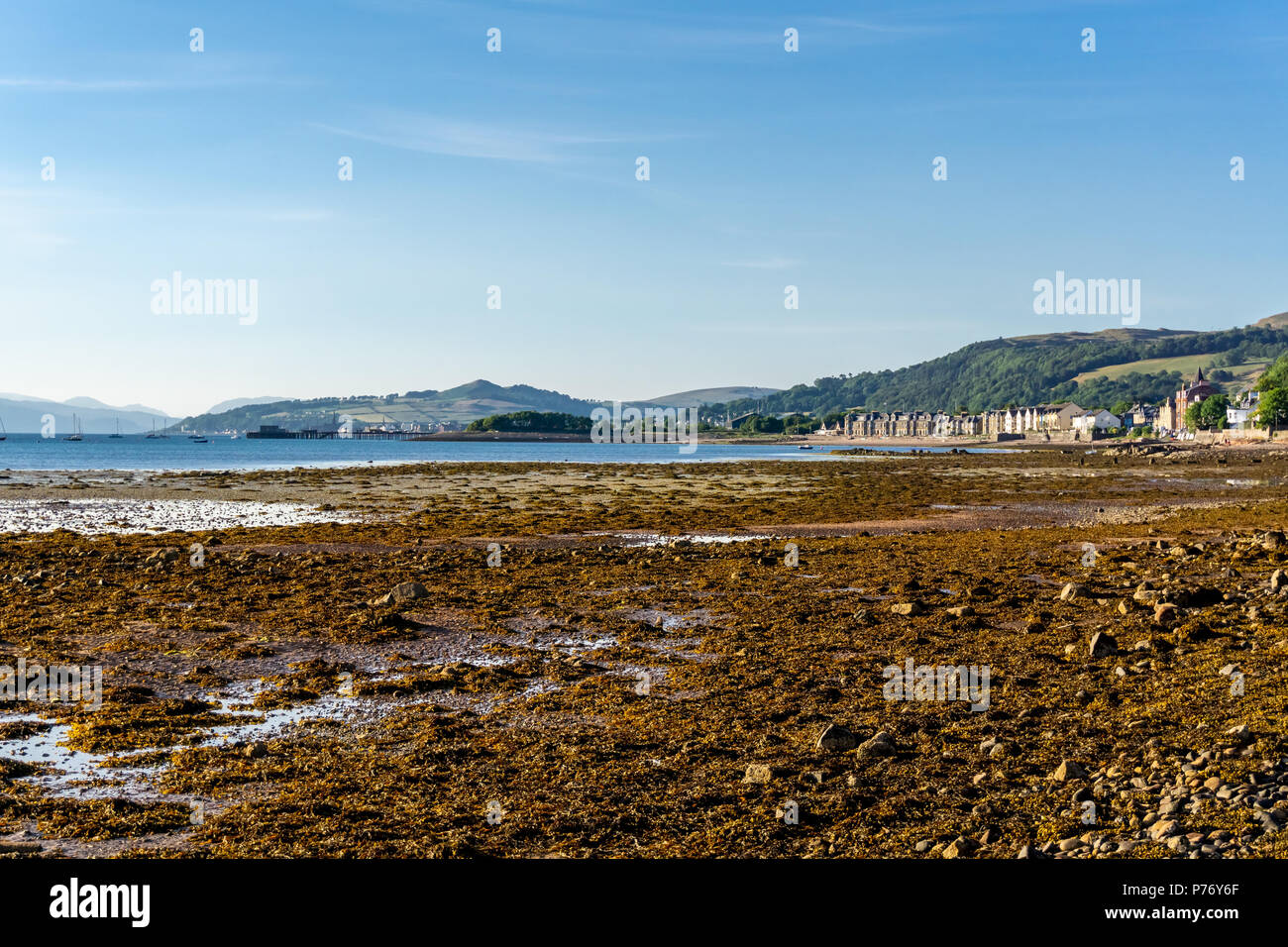 Fairlie Bucht bei Ebbe mit Algen und Suchen über Fairlie und in der Ferne Largs Schottland Stockfoto