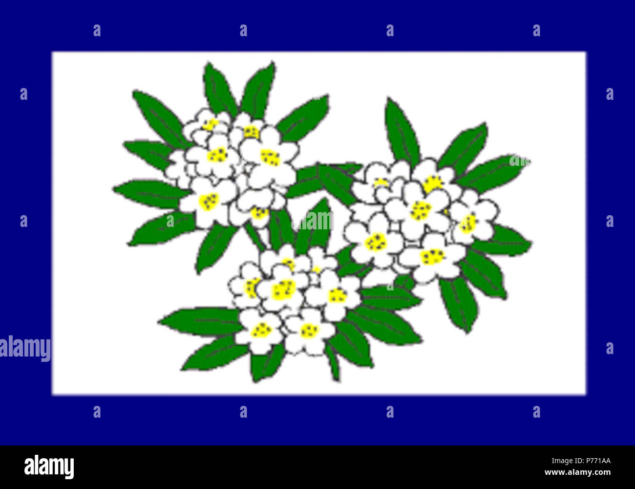 1 Flagge von West Virginia (1905 - 1907) Stockfoto 1 Flagge von West Virginia (1905 - 1907) Stockfoto