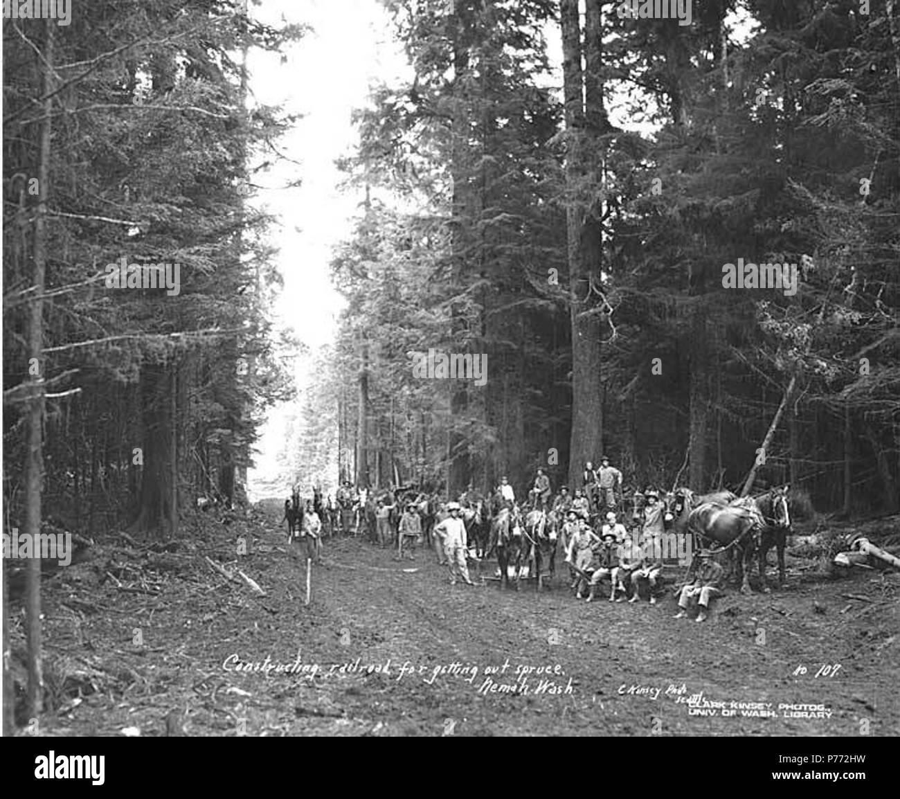 Englisch Crew Und Pferd Team Sortierer Fur Den Bau Der Eisenbahn Vorfahrt Nemah Ca 1918 Englisch Legende Auf Bild Bau Der Eisenbahn Fur Die Erste Fichte Nemah Washington C Kinsey Foto