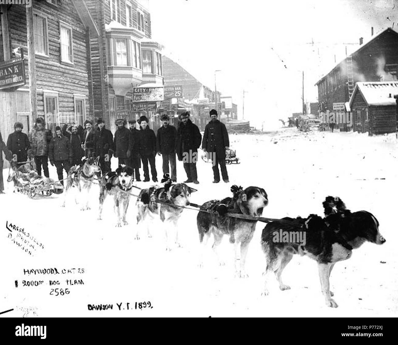 . Englisch: Hundeschlitten Team vom Haywood & Oates, Dawson City, Yukon Territory, 1899. Englisch: Bank von British North America auf der linken Seite. Bildunterschrift auf Bild: 'Haywood & Oates $ 2000.00 Dog Team Dawson Y.T. 1899. 'Original Foto von Eric A. Hegg 2586; von Larss und Duclos kopiert. Klondike Gold Rush. Themen (LCTGM): Hund Mannschaften - Yukon - Dawson; Schlitten & Schlitten - Yukon - Dawson; Straßen---- Yukon Dawson; Geschäfts----- Yukon Dawson; Banken---- Yukon Dawson Themen (LCSH): Dawson (Yukon); Bank der British North America. 1899 3 Hundeschlitten Team vom Haywood &Amp; Oates, Dawson City, Yukon Territory, 189 Stockfoto