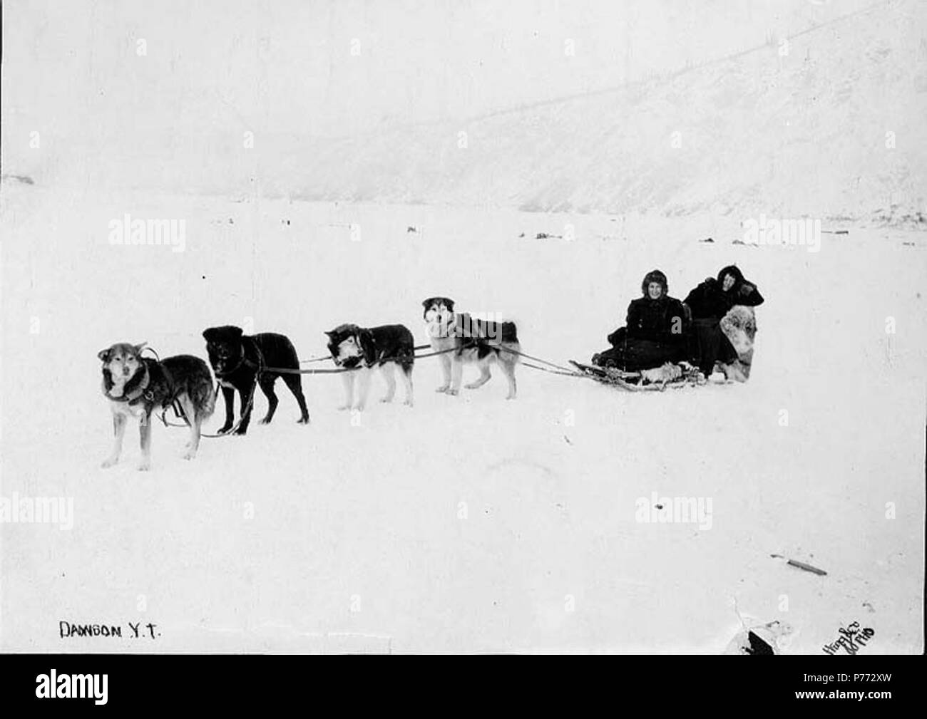 . Englisch: Hundeschlitten Team schleppen zwei Frauen, Nähe von Dawson City, Yukon Territory, Ca. 1898. Englisch: Legende auf Bild: 'DawsonY.T.' Themen (LCTGM): Schlittenhunde---- Yukon Dawson; Schlitten & Schlitten - Yukon - Dawson; Frauen---- Yukon Dawson. ca. 1898 3 Hundeschlitten Team schleppen zwei Frauen, Nähe von Dawson City, Yukon Territory, ca 1898 HEGG (299) Stockfoto