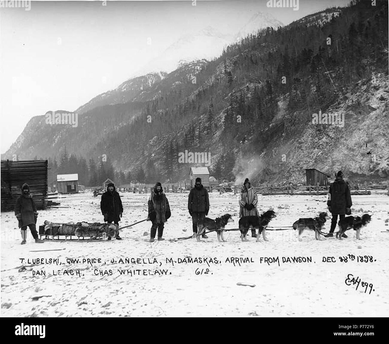 . Englisch: Hundeschlitten Team mit fünf Männer Ankunft in Skagway, Alaska von Dawson, 28. Dezember 1898. Englisch: Legende auf Bild: "T. Lubelski, G.W. Preis, J. Angella, M. Damaskas, Dan Leach, Chas. Whitelaw Anreise von Dawson. Dez 28 1898" Themen (LCTGM): Schlittenhunde - Alaska - Skagway; Schlitten & Schlitten - Alaska - Skagway; Schuppen - Alaska - Skagway Themen (LCSH): Lubelski, T.; Preis, G.W.; Angella, J.; Damaskas, M.; Leach, Dan; Whitelaw, Charles. 1898 4 Hundeschlitten Team mit fünf Männer Ankunft in Skagway, Alaska von Dawson, 28. Dezember 1898 (HEGG 463) Stockfoto