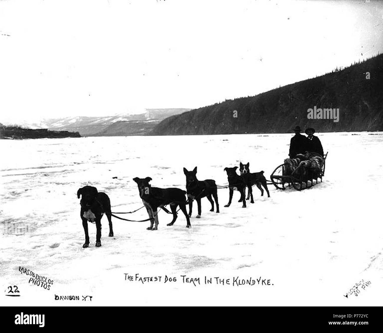 . Englisch: Hundeschlitten Team, Yukon Territory, Ca. 1899. Englisch: Legende auf Bild: "Der schnellste Hund Team in der Klondike. Hegg & Co Foto 'Original Foto von Eric A. Hegg 3003; von Larss und duclos Nr. 22 kopiert, erscheint in der unteren linken Ecke. Themen (LCTGM): Schlittenhunde-- Yukon; Schlitten & Schlitten -- Yukon. ca. 1899 4 Hundeschlitten Team, Yukon Territory, ca 1899 (HEGG 657) Stockfoto