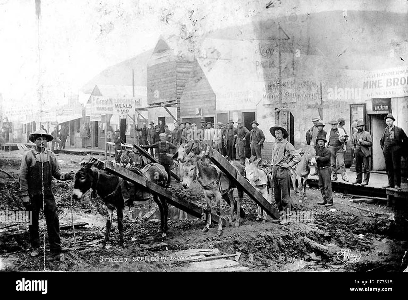 . Englisch: Esel oder Maultiere, die Last von Schnittholz in schlammigen Straße, Dawson City, Yukon Territory, Ca. 1898. Englisch: Legende auf Bild: 'Straße Szene an Dawson". Klondike Gold Rush. Themen (LCTGM): Straßen---- Yukon Dawson; Pack Tiere ------ Yukon Dawson; Hotels ------ Yukon Dawson; Geschäfts----- Yukon Dawson. ca. 1898 4 Esel oder Maultiere, die Last von Schnittholz in schlammigen Straße, Dawson City, Yukon Territory, ca 1898 (HEGG 363). Stockfoto