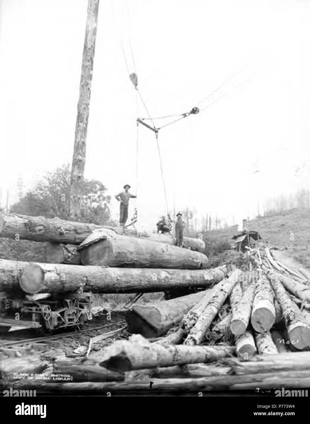 . Englisch: Loading meldet sich auf Waggons mit Zaum Zange, Brookings Holz und Lumber Company, Brookings, Ca. 1919. Englisch: eine Abteilung der Kalifornien und Oregon Lumber Company. Bildunterschrift: auf Bild Nr. 21, Brookings Brookings 516.266 PH-Coll ist eine Stadt in der Nähe der kalifornischen Grenze im Curry County, Oregon. Die Stadt wurde nördlich der Chetco River im Jahr 1913 von der Brookings Holz und Lumber Company gegründet. Die Vermögenswerte des Unternehmens wurden mit der Del Norte in Nordkalifornien zusammengeführt und bilden die Kalifornien und Oregon Lumber Company. Die C&O Lumber Company Mühle geschlossen im Jahre 1925. Themen Stockfoto