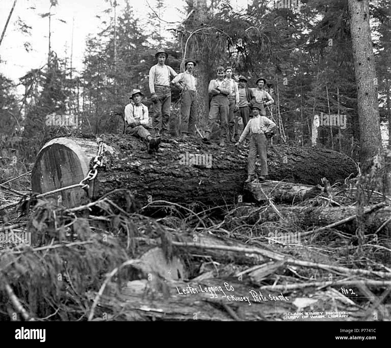 . Englisch: Logger ist das Holz, Lester Logging Company, in der Nähe von Montesano, Ca. 1915. Englisch: Legende auf Bild: Lester Logging Co.C. Kinsey Foto, Seattle. Nr. 2 PH-Coll 516.1719 Die E H Lester Logging Company wurde im Geschäft in der Montesano Bereich von Ca. 1910 bis 1919, als es in den Saginaw Timber Company zusammengeführt. Der E.H. Lester Logging Company hatte zwei - Meile logging Railroad. Montesano, der Sitz der County Grays Harbor County, ist acht Meilen östlich von Aberdeen auf der Chehalis River in der Nähe der Mündung des Wynooche Fluss in Grays Harbor County. In 1862, den Namen Mount Zion wurde vorgeschlagen Stockfoto